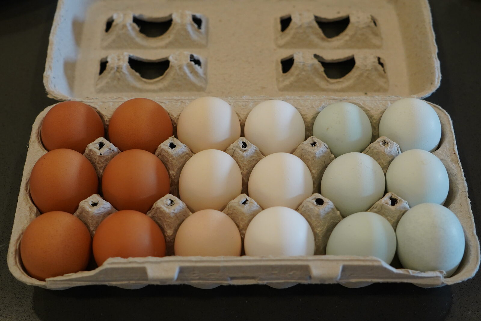 18-Count Egg Carton — Side View