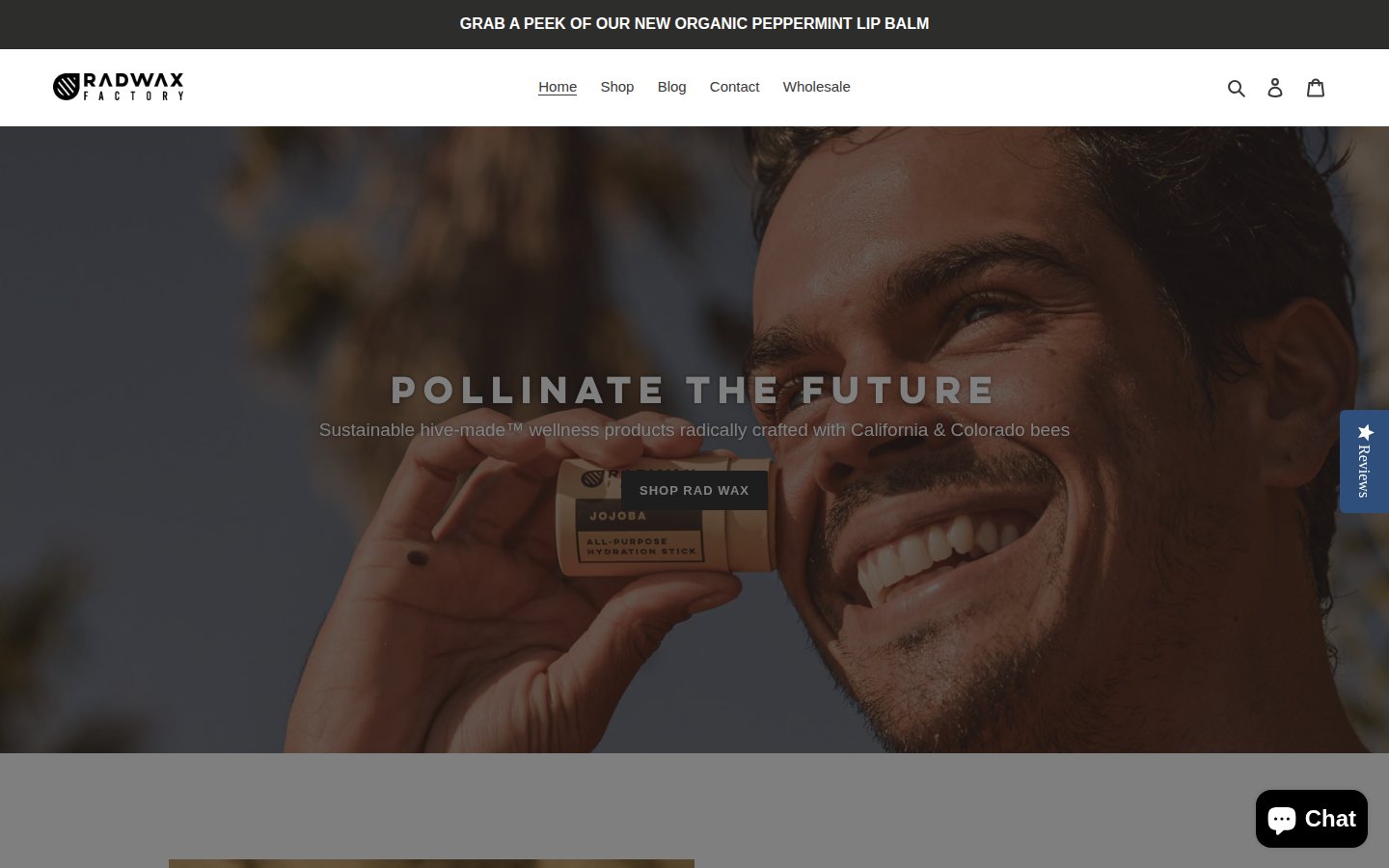 Rad Wax Factory &mdash; before redesign